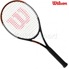 번 100LS v4.0